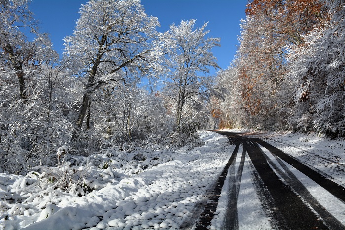 この日の朝、これから、ブナ平を抜け、小沢平ブナ樹海ラインを通り、小沢平での山小屋の冬囲いと、今年最後の草刈り作業に向かう中で。この先の雪と道路と紅葉の状況は・・・（２０２５年１１月４日・８時１６分）。