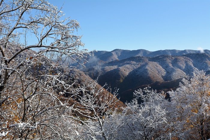 これから、後約１か月ほどで、多くの豪雪の季節を迎える、檜枝岐村の山々を望んで（２０２５年１１月４日・８時１１分）。