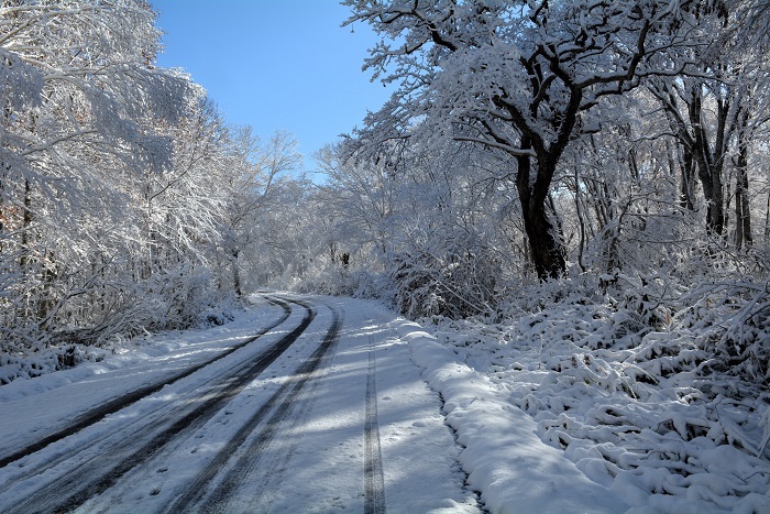 春の新緑から秋の紅葉そして落葉の姿、晩秋の雪景色へと様々な大自然の美しい景観を見せてくれた尾瀬国立公園に心より感謝の朝でした（２０２５年１１月４日・８時２３分）。