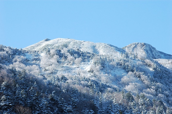 尾瀬御池登山口から望む、燧ケ岳（標高２３５６ｍ）の白銀の光景です（２０２５年１１月４日・８時３１分）。