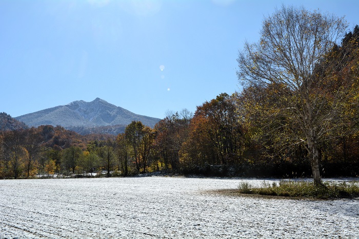 檜枝岐小学校・旧大杉分校跡地の前から、檜枝岐村の蕎麦畑の奥に、東北以北の最高峰・尾瀬のシンボル「燧ケ岳」（標高２３５６ｍ）の晩秋の姿を望んで。ここから見る燧ケ岳の姿が一番好きです（１１月４日1０時２分）。