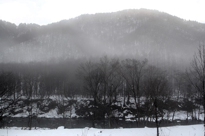 以外にも小雪の冬の始まりとなった２０２５年の冬。１月と２月がどのような雪の降り方になるのか、少し心配です（２０２５年１２月２５日）。