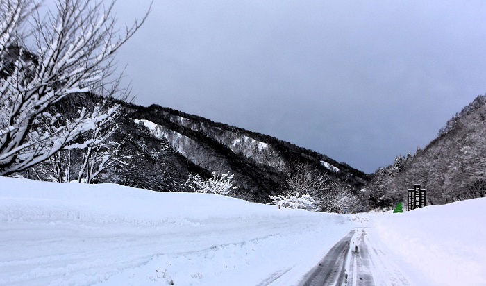 3月・豪雪の冬も終盤に。春の足音が近くに感じられる日々の中で。