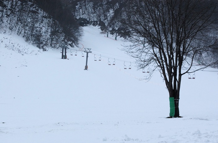12月・スキーシーズンを迎えて。3歳頃から約40年続いたスキー人生から引退して約20年。競技スキーから基礎スキー・スキー学校に至るまで、スキー人生に微塵も悔いはなし。素晴らしい感動と多くの人々に出会ってきたスキースポーツには心から感謝しかありません。