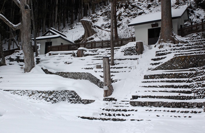 今年一年の家内安全・身体健全・商売繫盛・交通安全等祈願(2026年1月1日)。