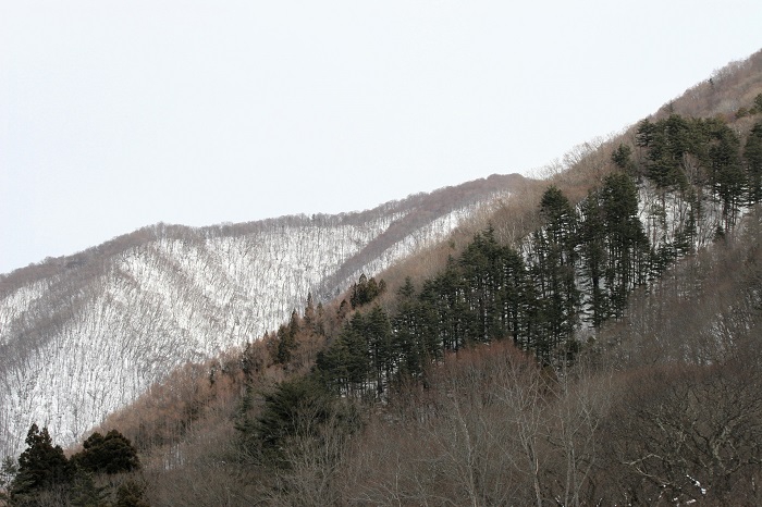 尾瀬野より、日の出始まる東の方角を望んで(2026年1月13日)。