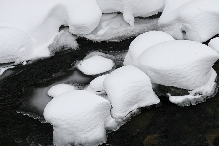 寒さ厳しい今年の厳冬の日々の中で(2026年1月13日)。