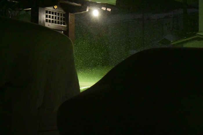 早朝、除雪作業に入る前に看板の光を見つめて(2026年1月26日)。