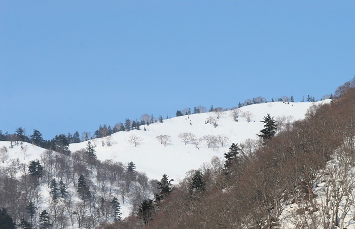 春の日差しが見え始めた3月中旬。会津駒ケ岳(標高2132.4m)の白銀の雪景色の尾根を望んで(2026年3月18日)。