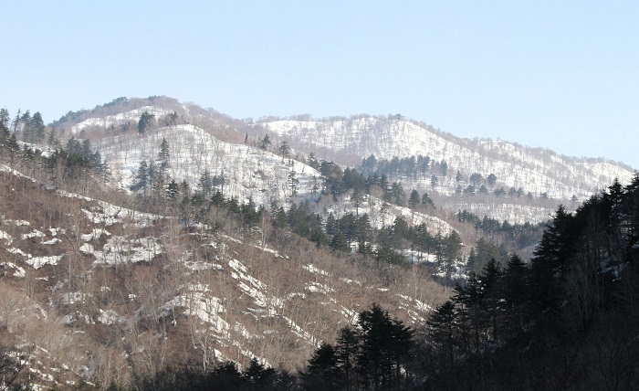 特別豪雪地帯の山々にもようやく春の日差しが見え始めた、3月中旬。光り輝く残雪の雪景色に包まれた、春の光景を望むことができる最高の季節の始まりでもあります(2026年3月18日)。