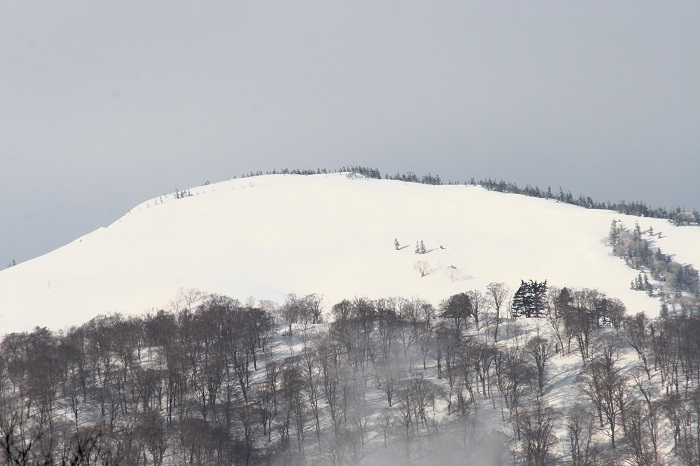 残雪の輝きに染まる、会津駒ケ岳(標高2132.4m)より連なる、大戸沢岳(標高2089m)の春の光景です(2026年3月19日)。