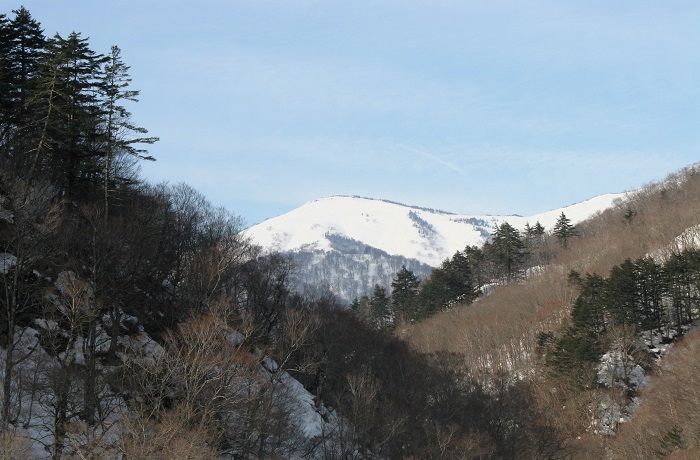 山また山のそのまた奥の檜枝岐村に雄大にそびえる、会津駒ケ岳(標高2132.4m)。なかなかその全容を望む場所はありませんが、残雪の輝きに染まる大戸沢岳の春の光景が、檜枝岐村がいかに深山の山村であるかを教えてくれています(2026年3月19日)。
