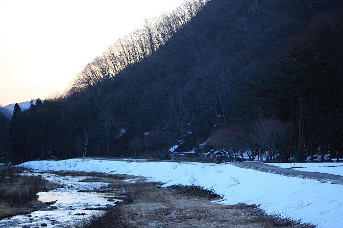 残雪残る、早朝のミニ尾瀬公園の光景です。ミニ尾瀬公園の本流は、キャッチアンドリリース区間になります（２０２６年４月３日）。