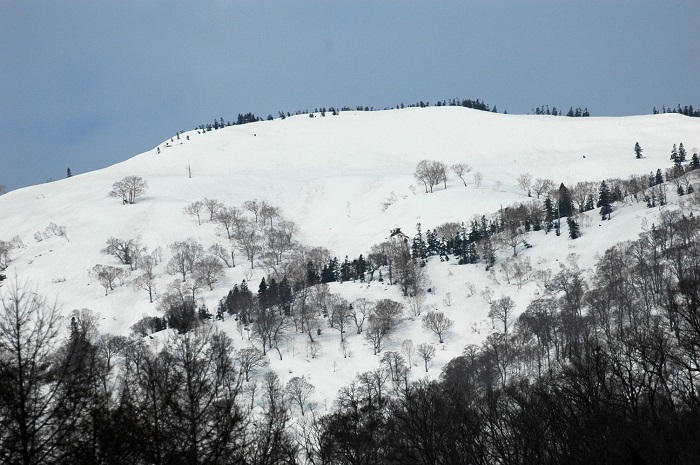 春山登山でも人気の、会津駒ケ岳・大戸沢岳（標高２０８９ｍ）の残雪残る春山の光景です（２０２６年４月１５日）。