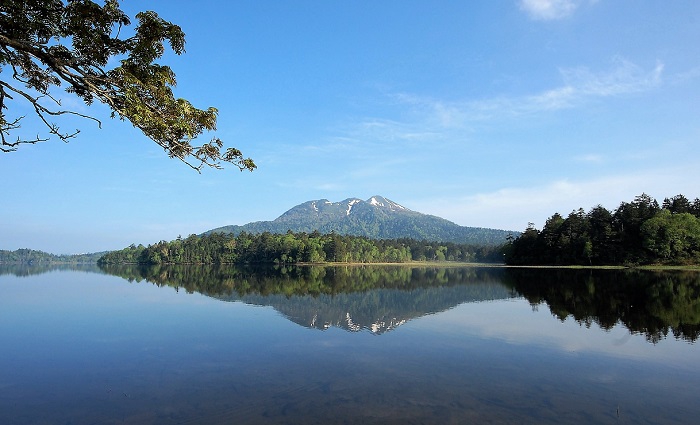 尾瀬沼と湿原の奥に東北以北の最高峰・燧ケ岳（標高２３５６ｍ）を望んで（２０１７年６月２３日の画像です）。