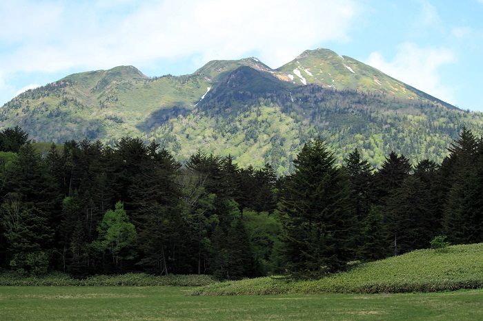 大江湿原より、尾瀬のシンボル・東北以北の最高峰、燧ケ岳(標高２３５６ｍ）の姿を望んで（２０２６年６月１０日）。