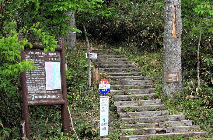 尾瀬沼山峠登山口に到着です。昭和40年代半ば頃までは、ここからさらに七入まで歩きました(2026年6月10日)。