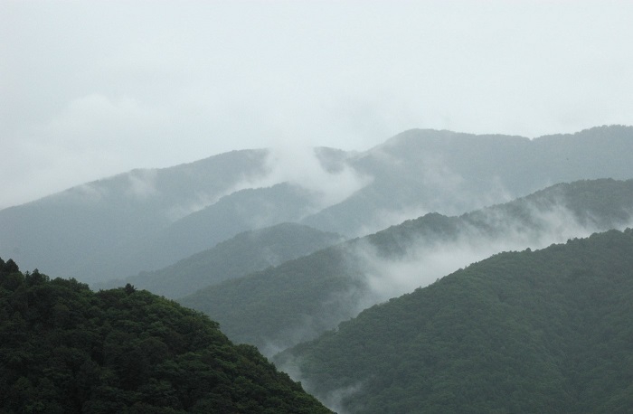 森林山岳面積約９８％の檜枝岐村です。梅雨に入る山々を望んで（２０２６年６月２６日）。