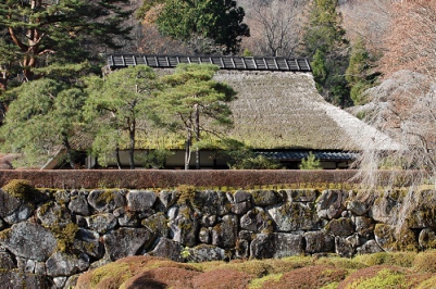 木々の葉も落ちた晩秋の古峯園でしたが、新緑や、紅葉の季節の美しさは、どんなに感動的だろうかと思わせる名庭園でした。