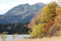 神秘的で美しい尾瀬沼と貴重な尾瀬カラマツの奥に、東北以北の最高峰・燧ケ岳（標高２３５６ｍ）の姿を望む。世界の尾瀬ともいえるほどの、まさに尾瀬国立公園そのものの光景です。尾瀬沼で見る尾瀬カラマツの紅葉はやはり綺麗ですね。いつどんな時に訪れても限りない美しい光景に出会える尾瀬沼の大自然は本当に素晴らしいと思います。この美しい大自然をこのままの姿で後後の世代に永遠につないでゆきたいです（２０１８年１０月１６日）。