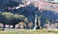 尾瀬大納言の像付近の桜も満開になり深山の檜枝岐村も最高の春の季節を迎えております(２０１９年５月８日）。尾瀬大納言の向きは東の方角(太陽が昇る方角）を向いております。
