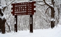落葉の季節が終わり、原生林が雪化粧に染まる初冬の檜枝岐村（２０１９年１２月５日）。