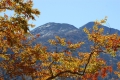 全山紅葉の季節を迎えた山々の中で、燧ケ岳(標高２３５６ｍ）の姿を望んで（２０２３年１０月１８日）。