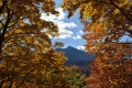 秋晴れの中、紅葉の奥に望む燧ケ岳の姿は本当に雄大な景観でした（２０２３年１０月２４日）。
