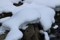 清流とせせらぎの雪景色の中では 本当に様々なユニークな雪景色に出会います（２０２４年３月７日）。