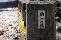 幼い頃より通っている、かけがえのない橋です（２０２５年４月３０日）。