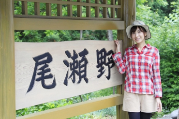 原生林の緑深く、高山植物や、山菜も盛んな６月の頃。