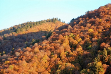 快晴に晴れた１０月の朝。紅葉も後半に入ろうとしている中、朝日の当たる檜枝岐村の山々を見つめて（２０２２年１０月２１日）。
