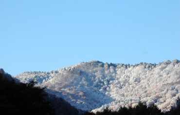 檜枝岐村・キリンテ地区より尾瀬の方角の雪景色をを望んで（２０２５年１１月４日・７時１８分）。