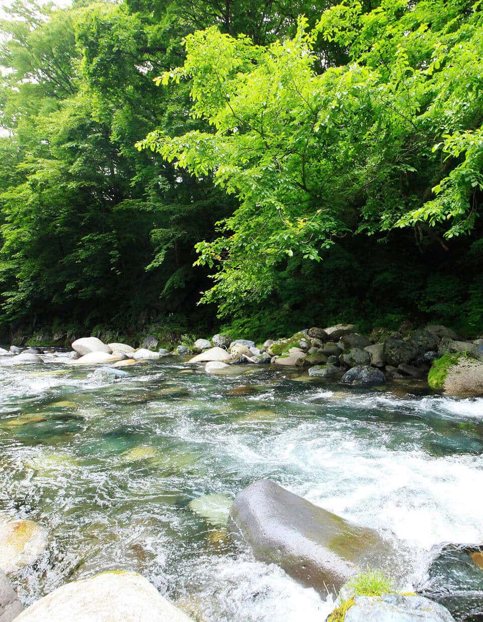 大自然への旅は尾瀬野から