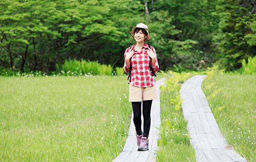 尾瀬沼や、尾瀬ヶ原へ